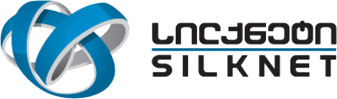 silknet icon